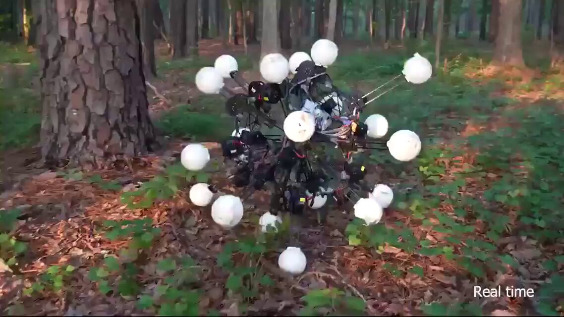 Argus