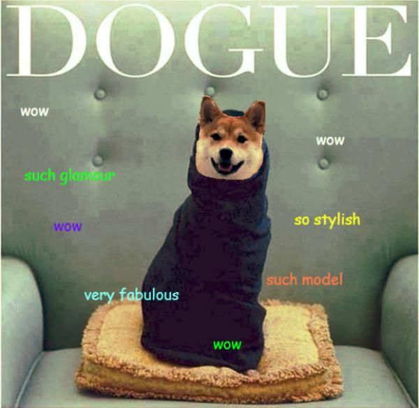 Dogue